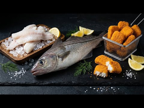 How Fresh Haddock Becomes Frozen Fillets & Crispy Nuggets | Factory Process
