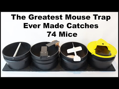 The Greatest Mouse Trap Ever Made Catches 74 Mice - The 4 in 1 Mouse Trap. Mousetrap Monday.
