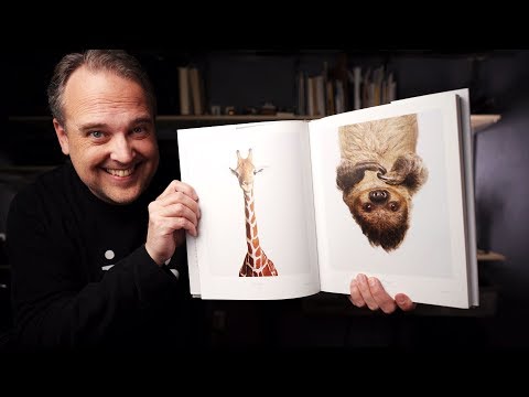 NEVER APOLOGIZE for your Photographs :: New ZINES!