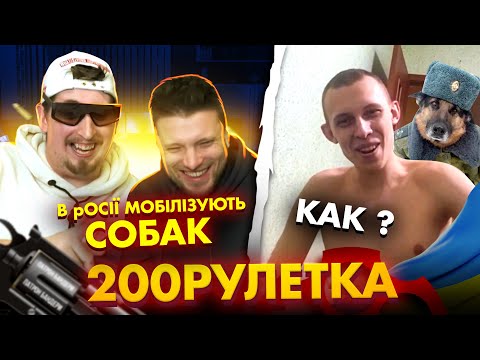 🇺🇦 В РОСІЇ МОБІЛІЗОВУЮТЬ СОБАК 🇷🇺 КАК? | 200рулетка #16