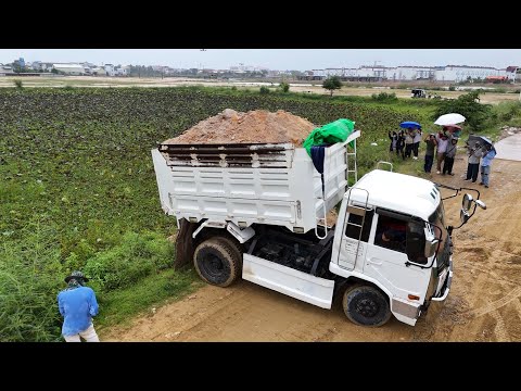 WONDERFUL Working Quickly.! Expert Bulldozer KOMATSU and 5T Dump Truck Fill Huge Land