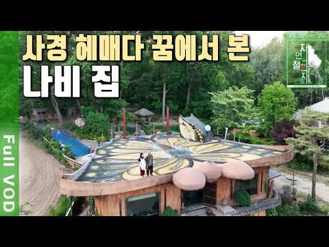중환자실에서 생사고비를 넘기고 4년 만에 지은  '나비집'  그가 깨달은 삶의 의미는? | 자연의 철학자들 60부 나비처럼 나빌레라 (KBS 20230609 방송)