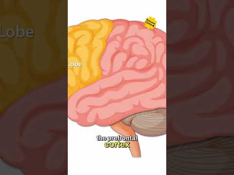 STOP Letting Anger DRAIN Your Energy! Master Non-Reactivity #shorts