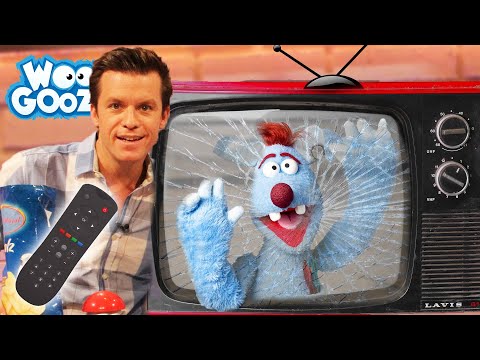 Wie funktioniert Fernsehen? l WOOZLE GOOZLE
