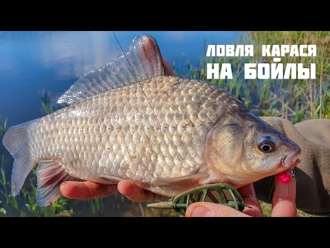 Ловля карася на бойлы  | Укрупняем рыбу крупной насадкой | Flat Feeder