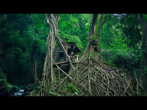 Build Bushcraft Shelters On Old Trees For Survival, Clay Fireplaces, Catch Snails In The Mountains