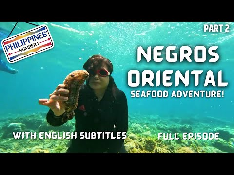 Negros Oriental’s BEST Seafood Dishes with Kara David! (with English subs) | Philippines’ Number 1