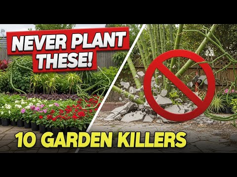 10 Plants You Should NEVER Grow in Your Garden!