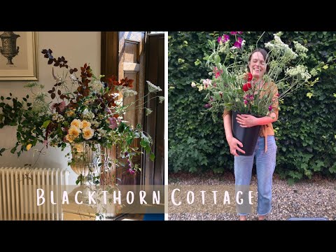 Welcome to Blackthorn Cottage | Growing & Arranging the Flowers for My First Wedding! #1