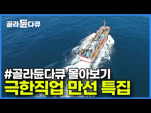 🏅오늘도 결국 만선!✨ 한 치 앞도 내다볼 수 없는 바다에서 오늘도 만선을 꿈꾼다!┃어부들의 파란만장 출항기┃꽁치 오징어 복어 아귀 꽃게┃만선 특집┃극한직업 몰아보기┃#골라듄다큐