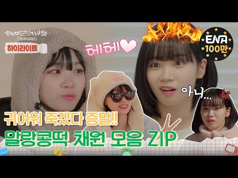 [하이라이트] 두 가지 자아를 가진 말랑콩떡 채원 모음 ZIP! | 혜미리예채파 | ENA 채널