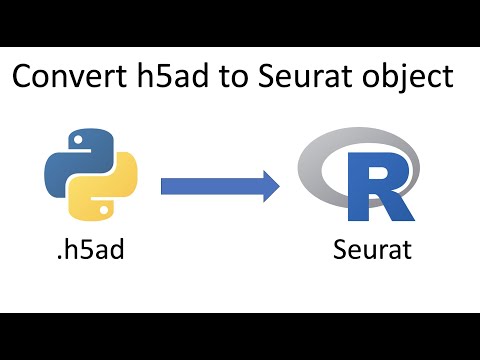 Convert h5ad anndata to a Seurat single-cell R object
