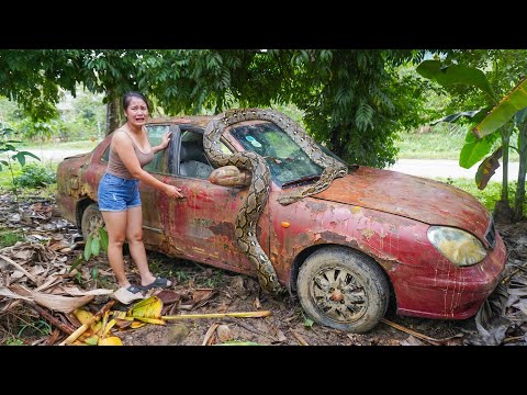 Girl Buys Old Abandoned Car for 20 Years to Restores -- Horror when opening the car door!