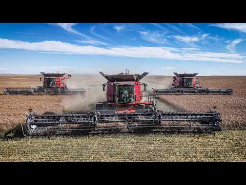Großlandwirtschaft in Kanada! Von der Aussaat bis zur Ernte - 3x Case Ih Mähdrescher & Versatile