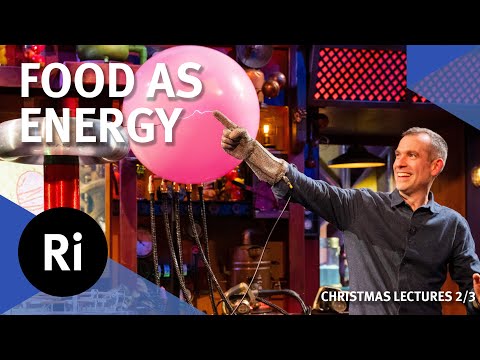 How food makes us - 2024 Christmas Lectures with Chris van Tulleken 2/3