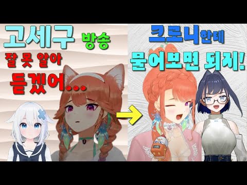 고세구 방송 못 알아들으면 크로니한테 물어보면 됨