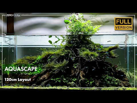 HOW TO BUILD A BEAUTIFUL AQUASCAPE