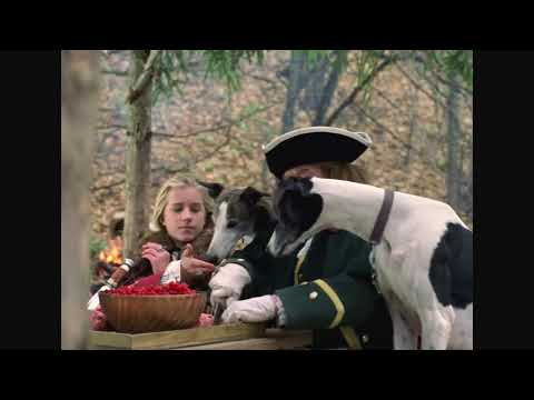 🔴LIVE / ЛУЧШИЕ ИСТОРИЧЕСКИЕ ФИЛЬМЫ / Тайны дворцовых переворотов, ГАРДЕМАРИНЫ 1787, УЧЕНОСТИ ПЛОДЫ