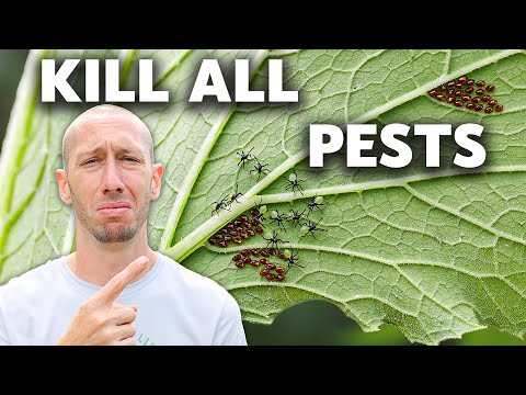 How to Eliminate ALL Pests in the Garden (NO MERCY)