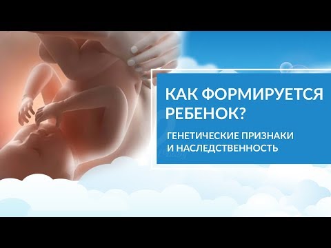 Как формируется плод ребенка? Генетика. Вредные привычки беременных