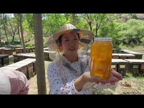 来自北方大山里的野枣花终于迎来了割蜜大丰收一切辛苦化甜蜜 蜂蜜 枣花蜜 丰收 养蜂人