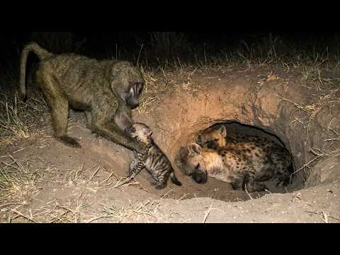 A Silent Night Theft… Turned Into Brutal Payback