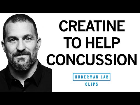 How Creatine Can Help with Concussion & Traumatic Brain Injury | Dr. Andrew Huberman