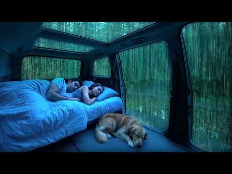 Cozy Rain with Thunder in Car ⛈️ ASMR Rain Sounds for Deep Sleep