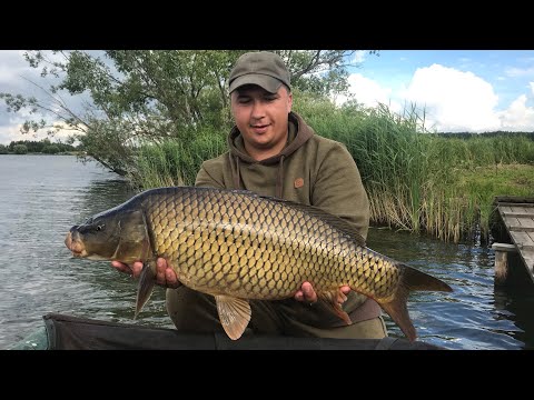 ТАКТИКА ЛОВЛИ  КАРПА НА БОЙЛЫ! Эксперимент с прикормкой.