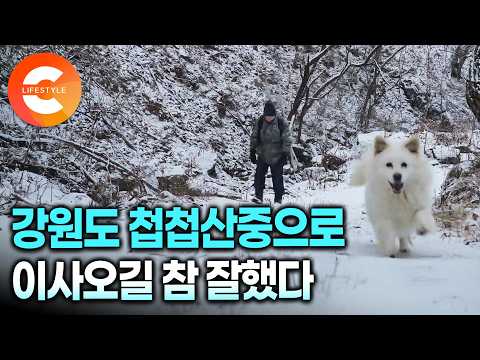 "여기가 우리 집입니다" 많고 많은 곳 중에 첩첩산중 강원도 산골마을에 마음을 뺏겨 이사온 부부가 겨울을 가장 사랑하는 이유ㅣ강원도 영월 오지 생활의 비결ㅣ#한국기행