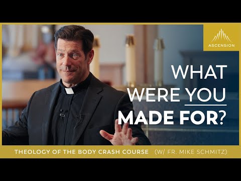 Theology of the Body Crash Course w/ Fr. Mike Schmitz — Session One: From the Beginning