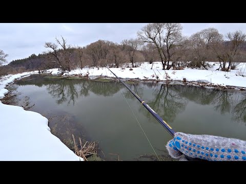 Весенний ЖОР ЩУКИ перед нерестом! Рыбалка на Сказочно Красивой Реке на Спиннинг 2022.