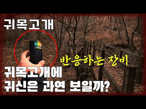 [귀목고개] - 그곳에서 느껴지는 차가운 기운 [빨간여우 , 장리다 ] [공포, 실황]