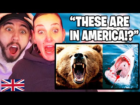 British Mum Reacts to the Most DANGEROUS ANIMALS In The UNITED STATES 🐻🦈