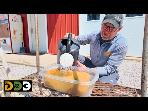 We'd All Be In The Swamp Without It!