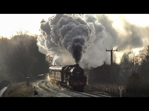 The Power Of Steam !  28 Locos Opened Up !