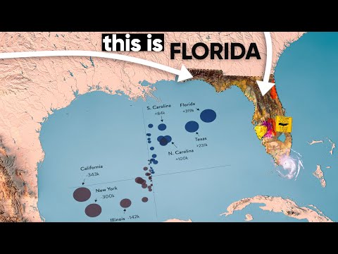 Does Florida Even Stand A Chance?