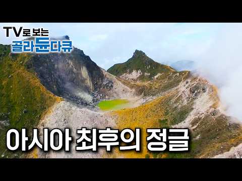 미지의 세계, 아직도 밝혀지지 않은 정글 속 거친 야생의 땅｜세계 3대 열대우림이라 불리는 아시아의 열대우림｜인도네시아, 캄보디아, 말레이시아의 정글｜세계테마기행｜#골라듄다큐