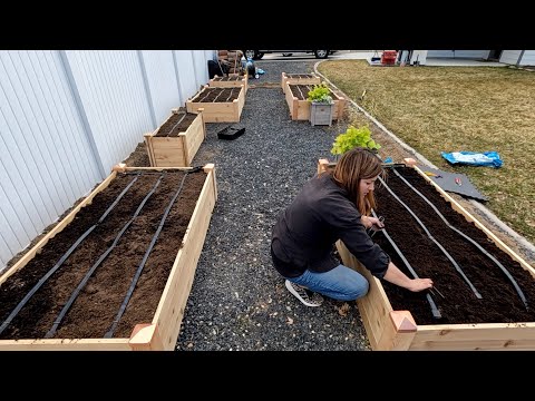 Setting Up a Complete Drip System for Raised Beds from a Hose Faucet! 💦🌿 // Garden Answer