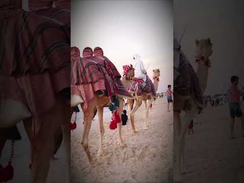 DUBAI The City That Broke Reality