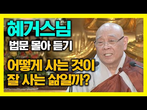 혜거스님께서 설명해 주시는 어떻게 사는 것이 잘 사는 삶 인가? [혜거스님 법문 몰아보기]  #혜거스님 #혜거대종사