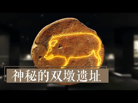 7000多年前的双墩古人，已经有了文字的雏形？ 《神秘的双墩遗址》| 中华国宝