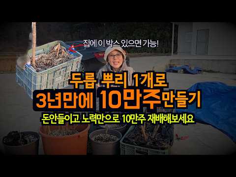 Become a rich man with just one root of a Chinese quince tree~ This is fun.