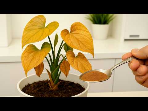 How to Revive Any Dying Plant With This Simple Trick (Works Every Time!)🌳
