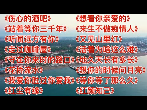 畅听歌伤心的酒吧听闻远方有你想你的时候问月亮红颜知己