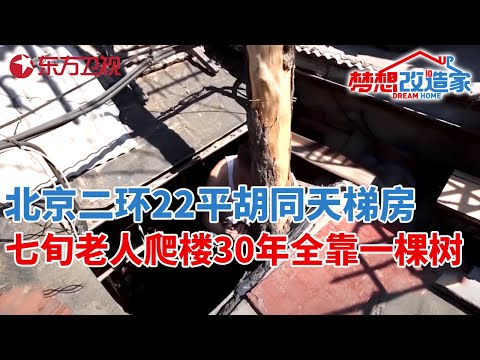 北京二环胡同22平天梯房!70岁老人爬楼30年全靠一棵树,37万爆改成两层景观别墅#梦想改造家 第二季 S02EP09