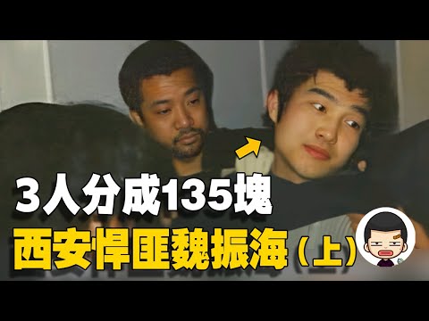 27歲殺害11人，3人分成135塊，西安悍匪魏振海（上）| 英大吉