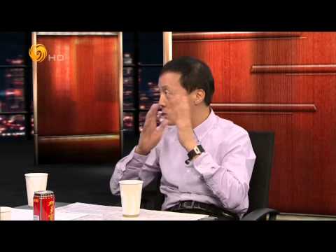 锵锵三人行2014-08-01 杨奎松