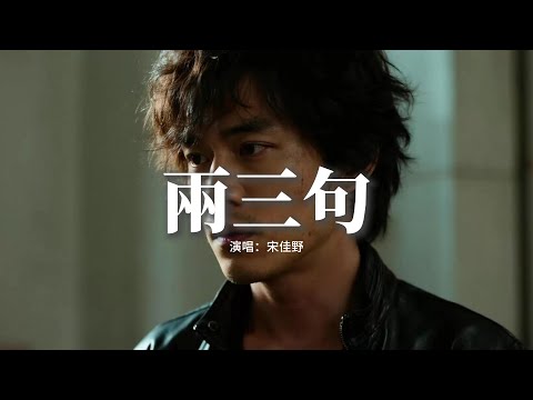 宋佳野 - 兩三句『趁著燈火不算清晰，月明星稀 談兩三句，關於錯過還是繼續，不求回答只求對視堅定。』【動態歌詞MV】