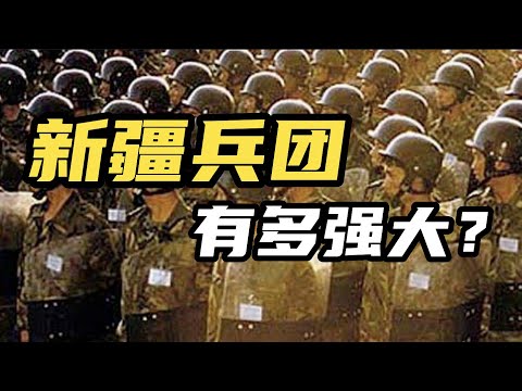 【杨叔洞察】屯垦戍边68年！新疆生产建设兵团是怎样的存在？